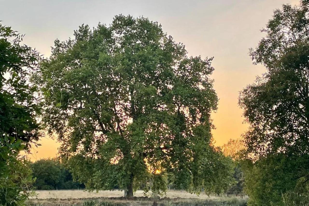 Вілла Le Parc De Gouts Aiguillon Екстер'єр фото