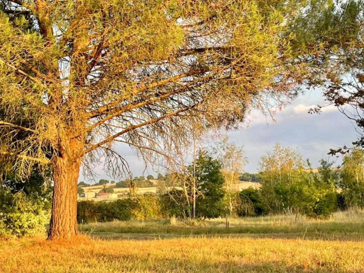 Вілла Le Parc De Gouts Aiguillon Екстер'єр фото