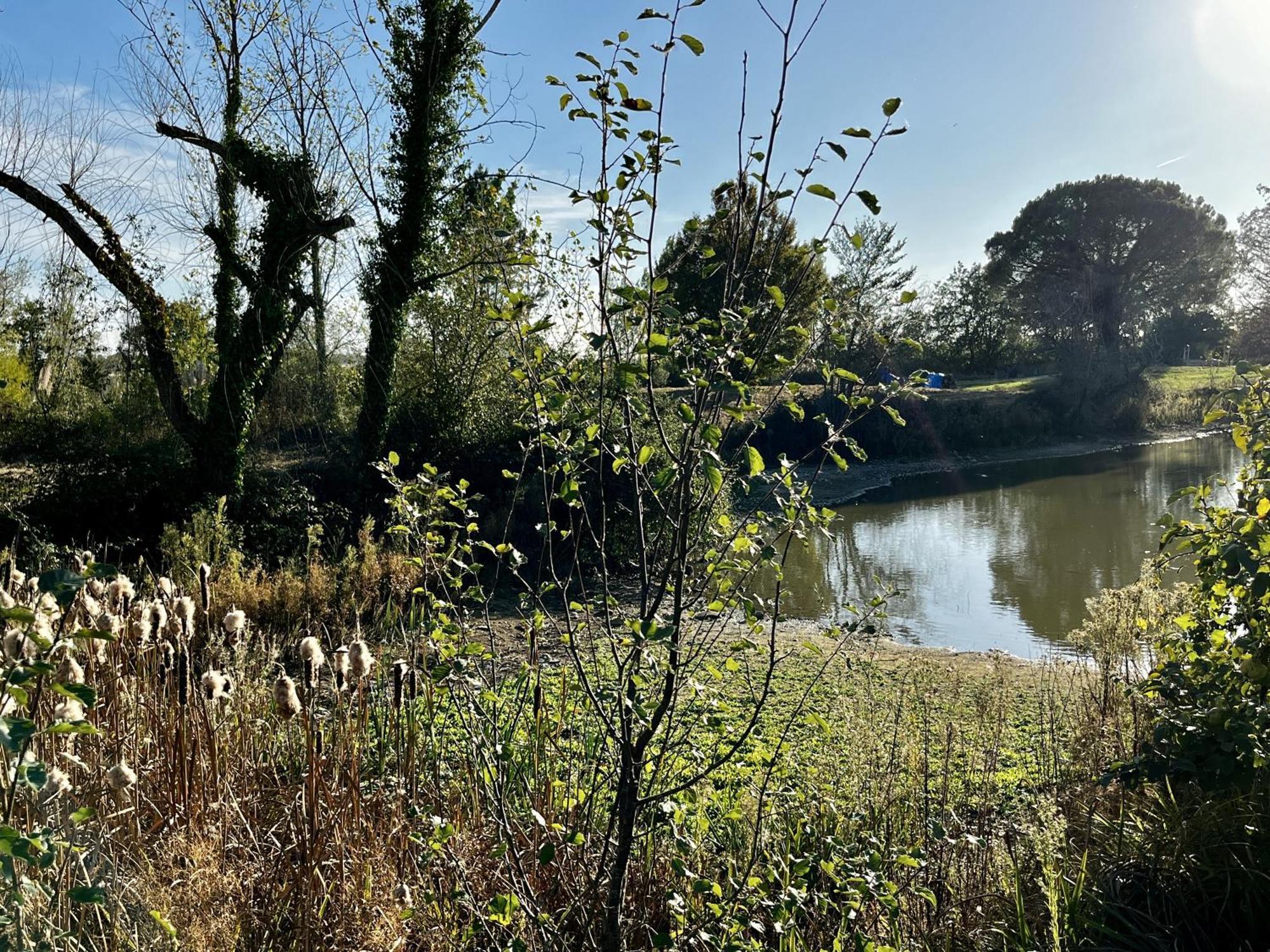 Вілла Le Parc De Gouts Aiguillon Екстер'єр фото