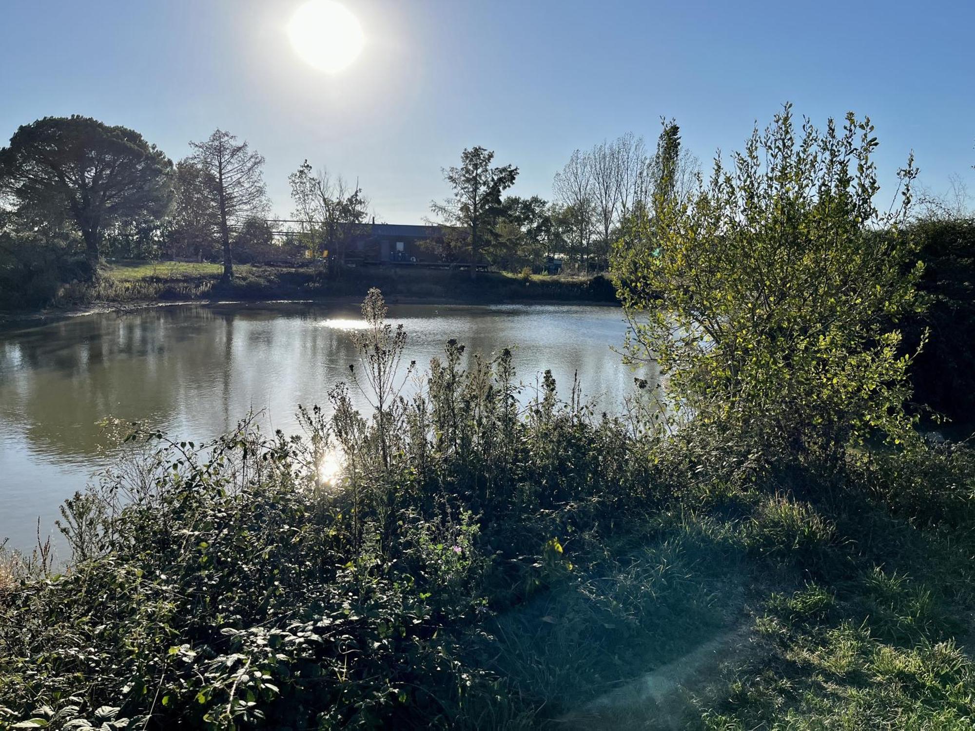 Вілла Le Parc De Gouts Aiguillon Екстер'єр фото